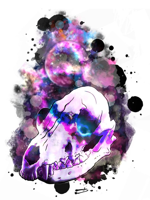 Neo traditional wolf skull with pink, purple, black, and blue galaxy background. Neo realism tattoo design for sale.