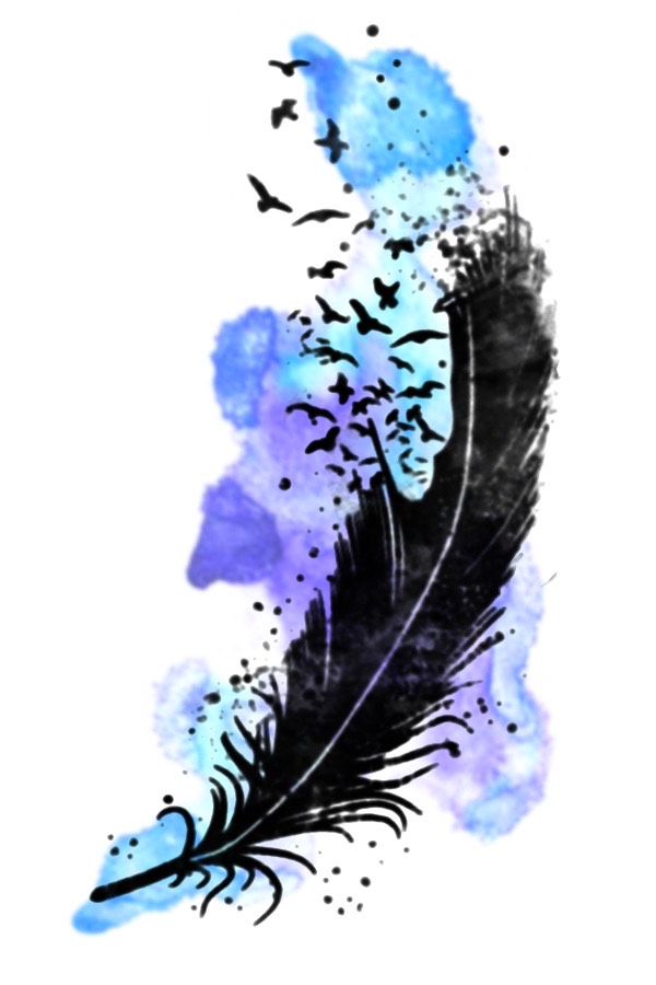 Pastel purple and blue watercolor bird feather.