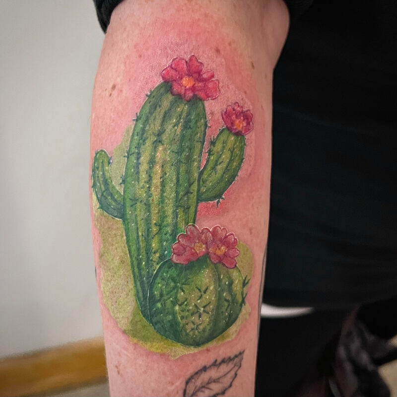 Color realism watercolor cactus tattoo on a forearm by Tyranicorn.