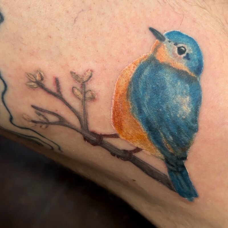 Color realism bluebird on a twig, tattoo on a leg.