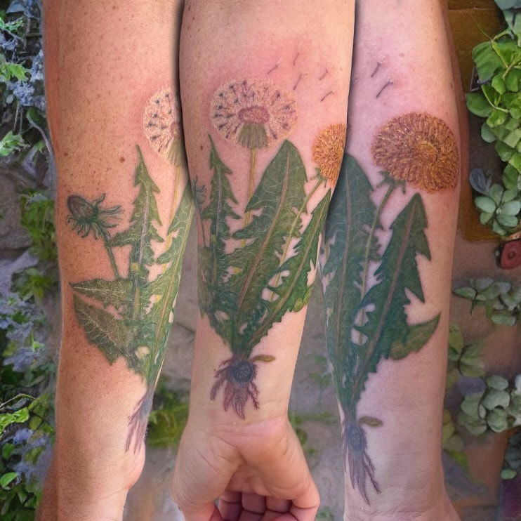 Illustrative color realism dandelion tattoo on a woman's wrist.