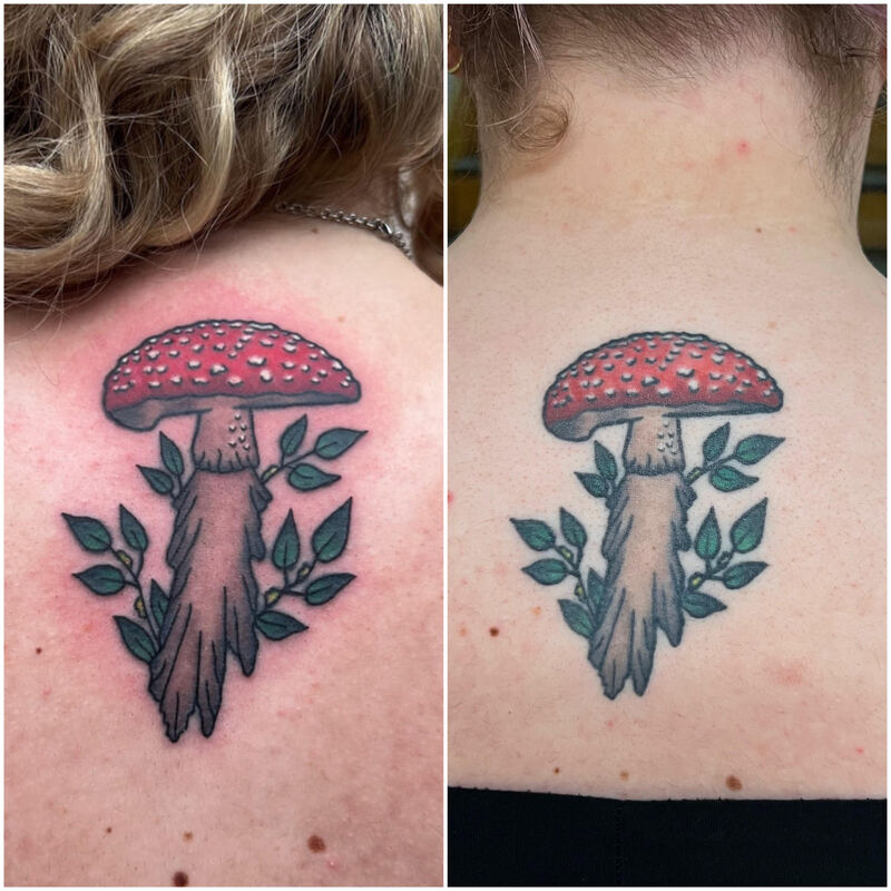 Fresh vs healed pics of a mushroom tattoo by Tyranicorn.
