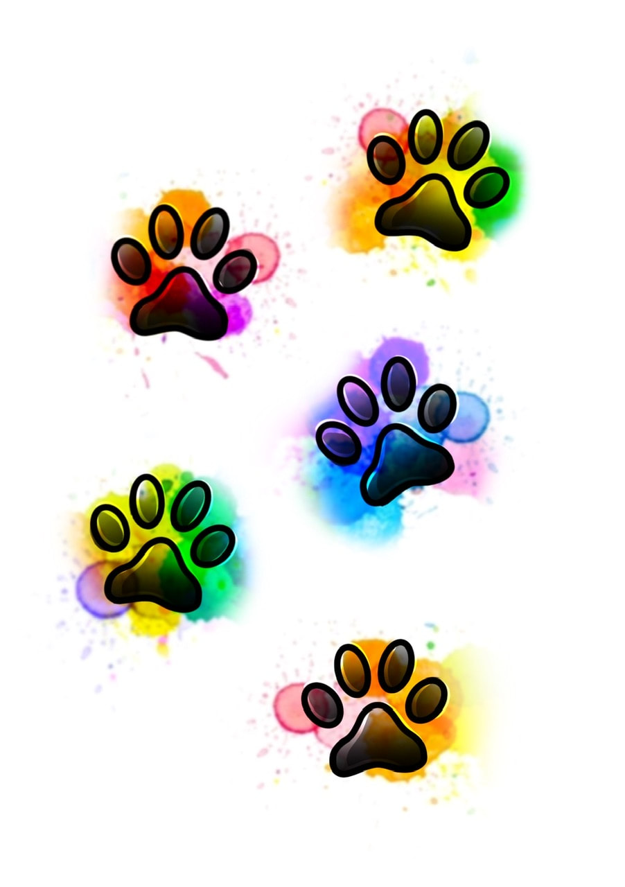 Rainbow watercolor paw print tattoo design for sale.