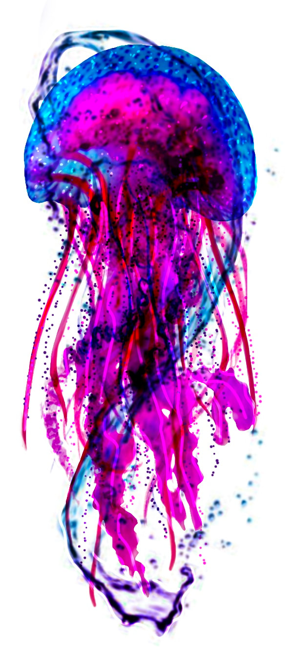 Pink, purple, and blue jellyfish tattoo design.