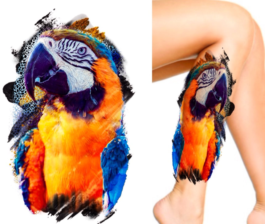 Blue Macaw color realism tattoo design for sale.