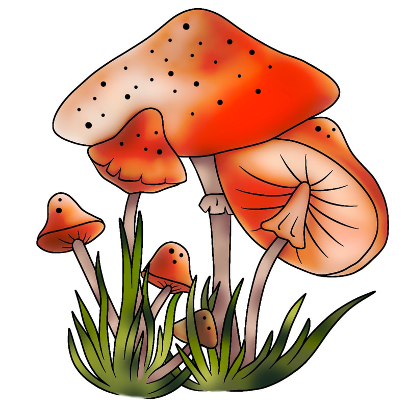 Orange and tan mushroom cap with grass blades.