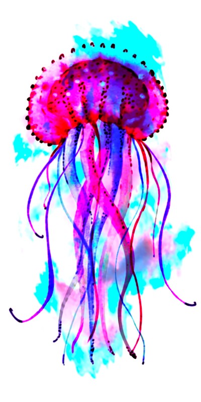 Pink, purple, and blue watercolor jellyfish design.