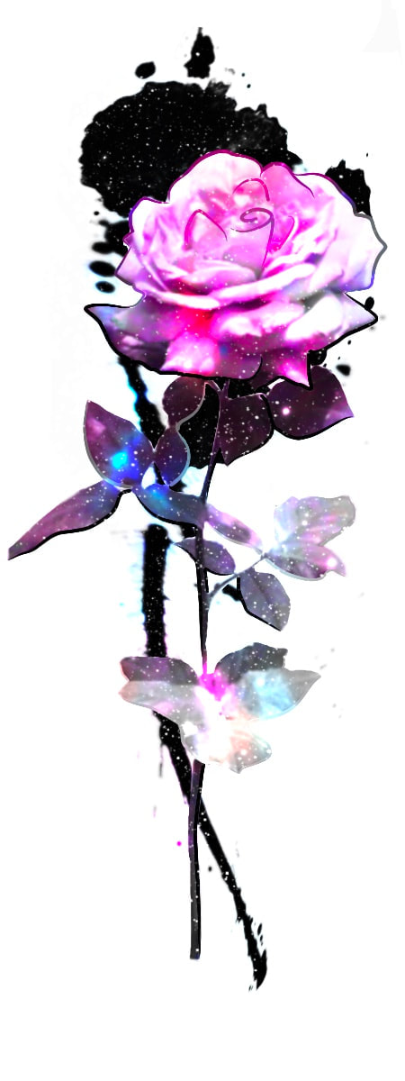 Galaxy long stem rose with pink, black, purple, and white.