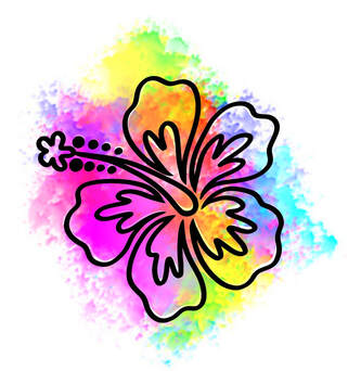Rainbow watercolor hibiscus flower tattoo for sale