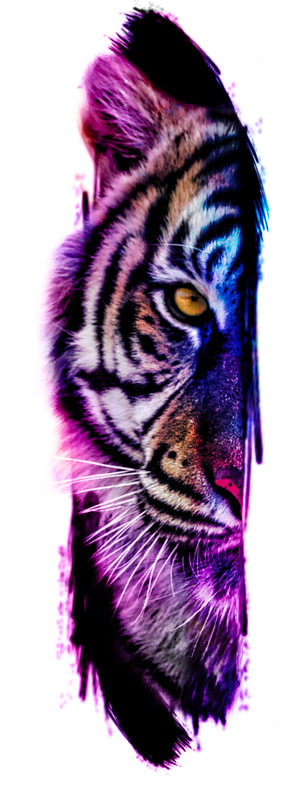 Half of a tiger face with galaxy colors on a forearm.
